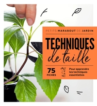 Image de Techniques de taille