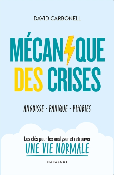 Picture of Mécanique des crises