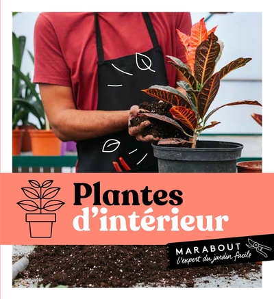 Image de Plantes d'intérieur