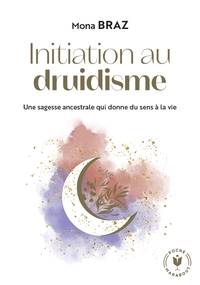 Image de Initiation au druidisme