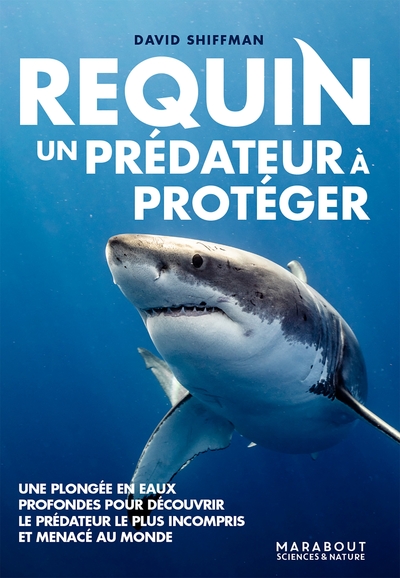 Picture of Requin, un prédateur à protéger