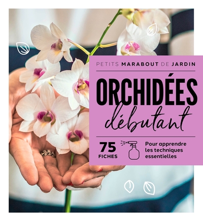 Image de Orchidées débutant