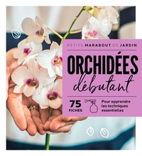 Image de Orchidées débutant