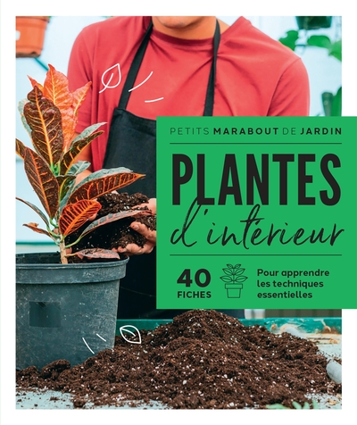 Image de Plantes d'intérieur