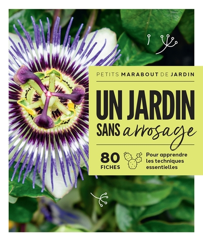 Image de Un jardin sans arrosage