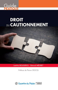Picture of DROIT DU CAUTIONNEMENT