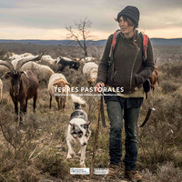 Image de Terres pastorales