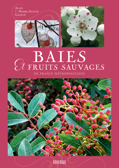 Picture of Baies et fruits sauvages de France métropolitaine