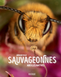 Picture of Sauvageonnes