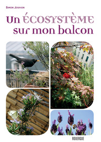 Picture of Un écosystème sur mon balcon