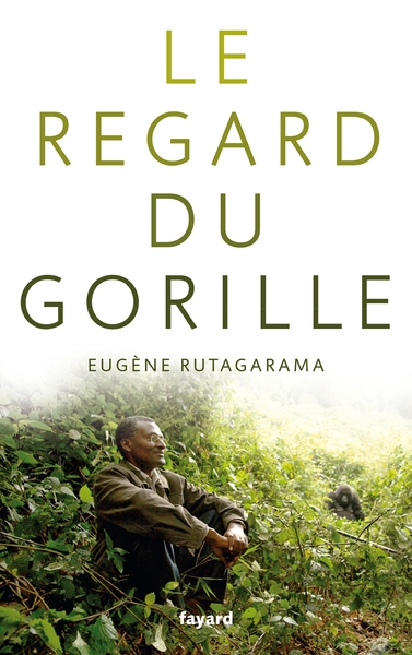 Image de LE REGARD DU GORILLE