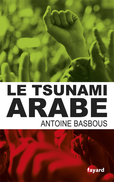 Image de Le tsunami arabe