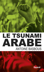 Image de Le tsunami arabe