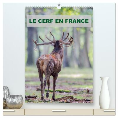 Image de LE CERF EN FRANCE (Calendrier mural haut de gamme 2027 DIN A2 horizontal), CALVENDO calendrier mensuel