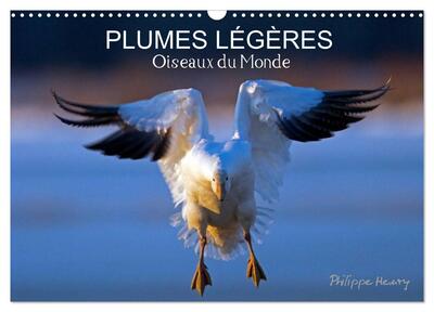 Picture of PLUMES LÉGÈRES. Oiseaux du Monde (Calendrier mural 2027 DIN A3 vertical), CALVENDO calendrier mensuel