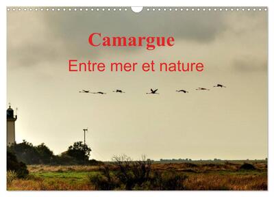 Image de Camargue Entre mer et nature (Calendrier mural 2027 DIN A3 vertical), CALVENDO calendrier mensuel