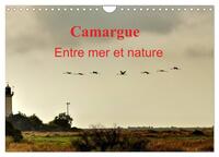Image de Camargue Entre mer et nature (Calendrier mural 2027 DIN A4 vertical), CALVENDO calendrier mensuel