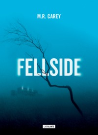 Picture of Fellside