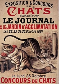 Image de Carnet Blanc, Exposition et concours de chats
