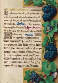 Image de Carnet Blanc, Heures Anne de Bretagne, Raisin