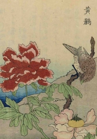 Image de Carnet Blanc, Oiseaux étrangers