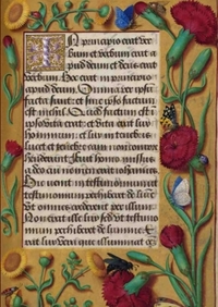 Image de Carnet Blanc, Heures Anne de Bretagne, oeillets