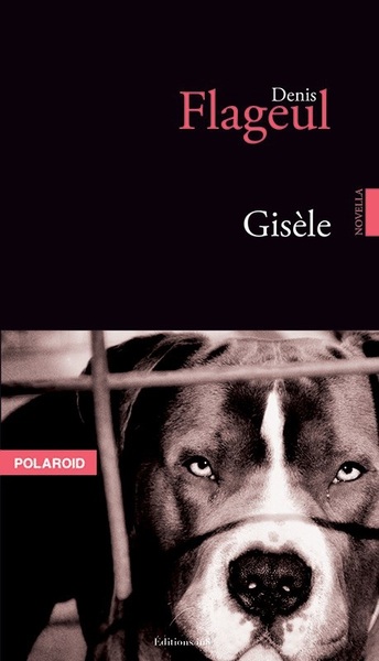 Picture of GISELE