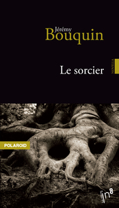 Picture of Le sorcier