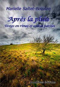 Picture of Après la pluie