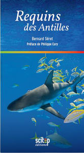 Image de Requins des Antilles