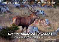 Image de Grande faune en Cévennes