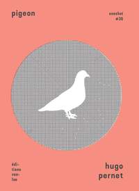 Image de Pigeon