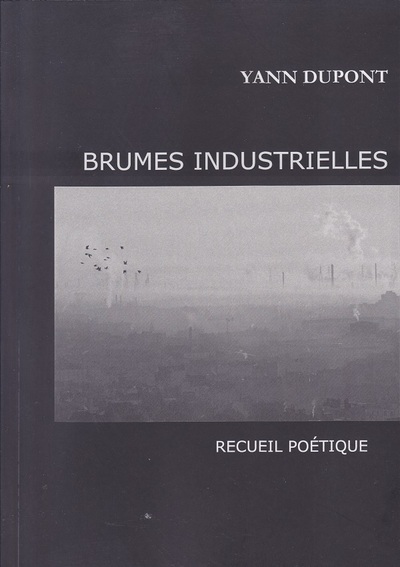 Picture of Brumes industrielles