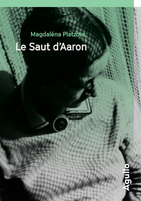 Picture of Le Saut d'Aaron