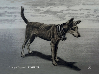 Picture of Fugitive