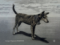 Picture of Fugitive