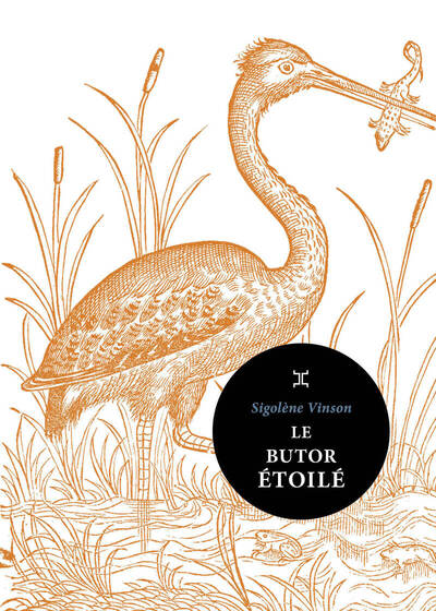 Picture of Le Butor étoilé