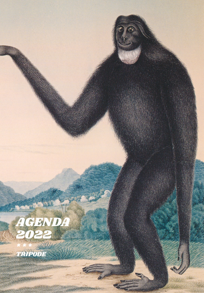 Picture of Agenda 2022