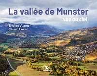 Picture of La vallée de Munster, vue du ciel