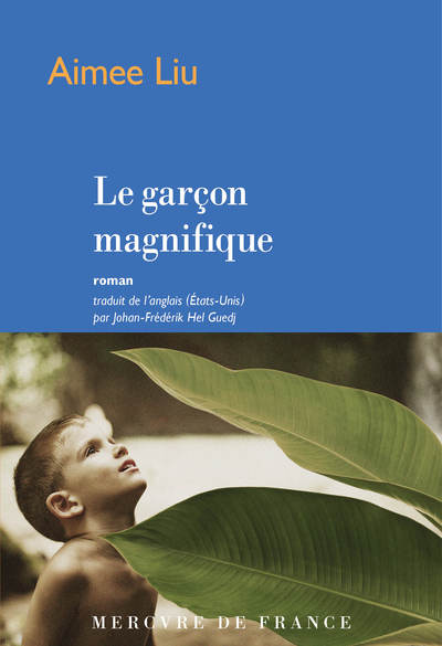 Picture of Le garçon magnifique