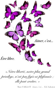 Picture of Carnet A6 Papillons Été Framboise