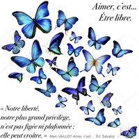 Image de Sac Papillons Printemps Bleu
