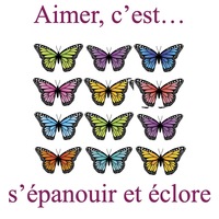Picture of Sac soufflet Papillons Hiver Multicolore face