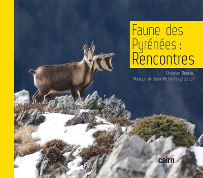 Image de Faune des Pyrénées : rencontres