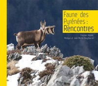 Image de Faune des Pyrénées : rencontres
