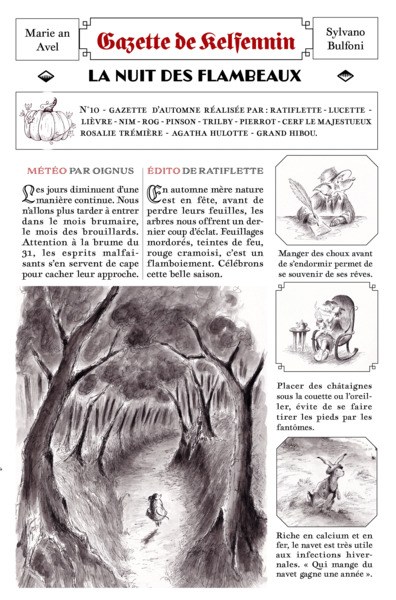 Picture of Gazette de Kelfennin