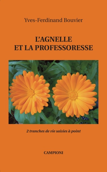Picture of L'AGNELLE ET LA PROFESSORESSE (2 tranches de vie saisies à point)