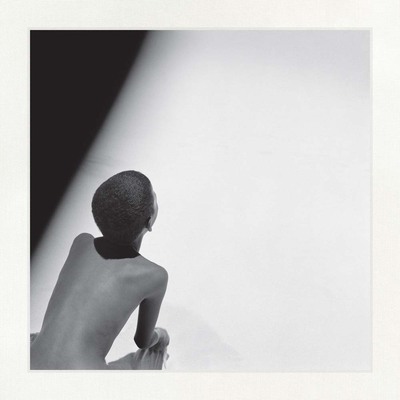 Picture of Pancho Saula Madagascar /anglais