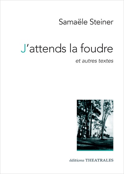 Image de J'attends la foudre et autres textes