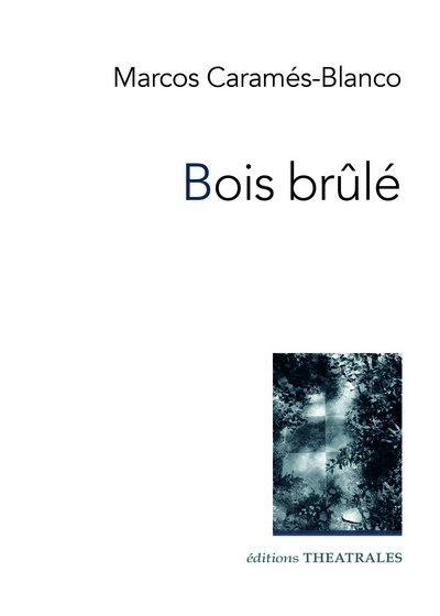 Picture of Bois brûlé